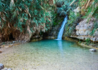 Ein Gedi